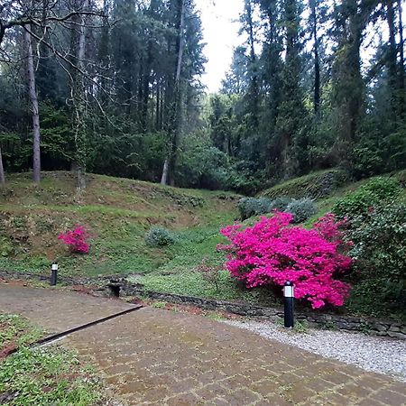 Il Bosco Di Campo Marzano Studios Borzonasca Εξωτερικό φωτογραφία