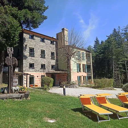 Il Bosco Di Campo Marzano Studios Borzonasca Εξωτερικό φωτογραφία