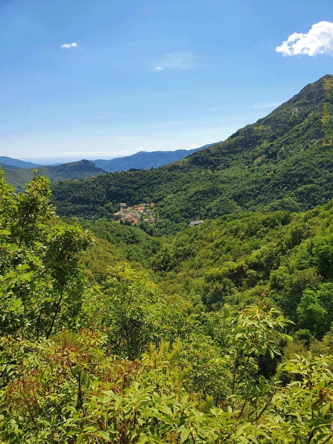 Il Bosco Di Campo Marzano Studios Borzonasca Εξωτερικό φωτογραφία