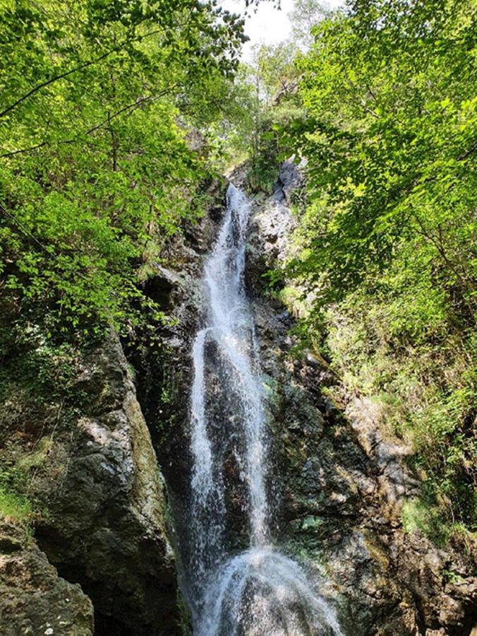 Il Bosco Di Campo Marzano Studios Borzonasca Εξωτερικό φωτογραφία