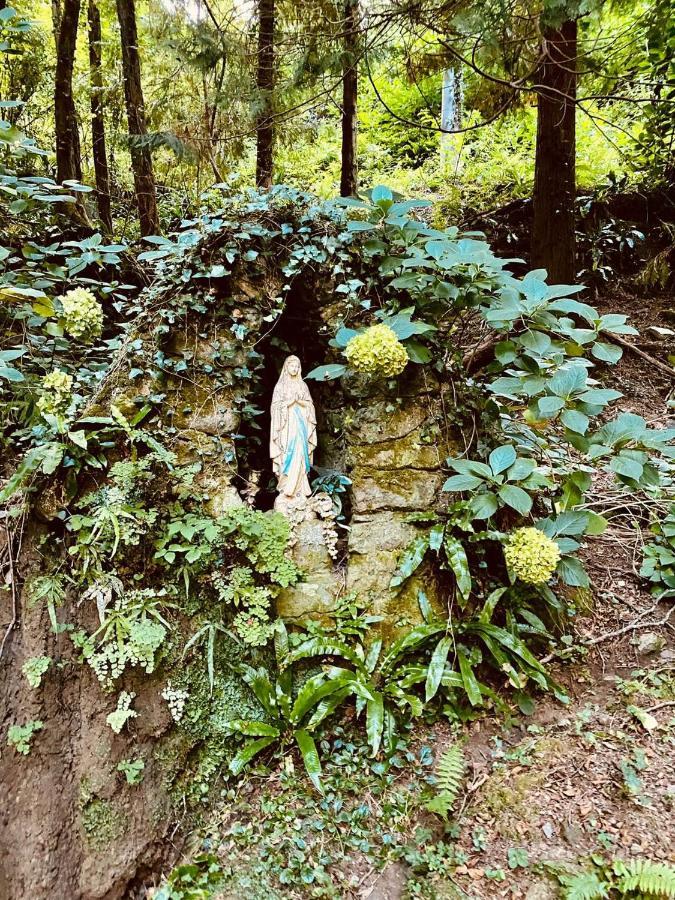 Il Bosco Di Campo Marzano Studios Borzonasca Εξωτερικό φωτογραφία