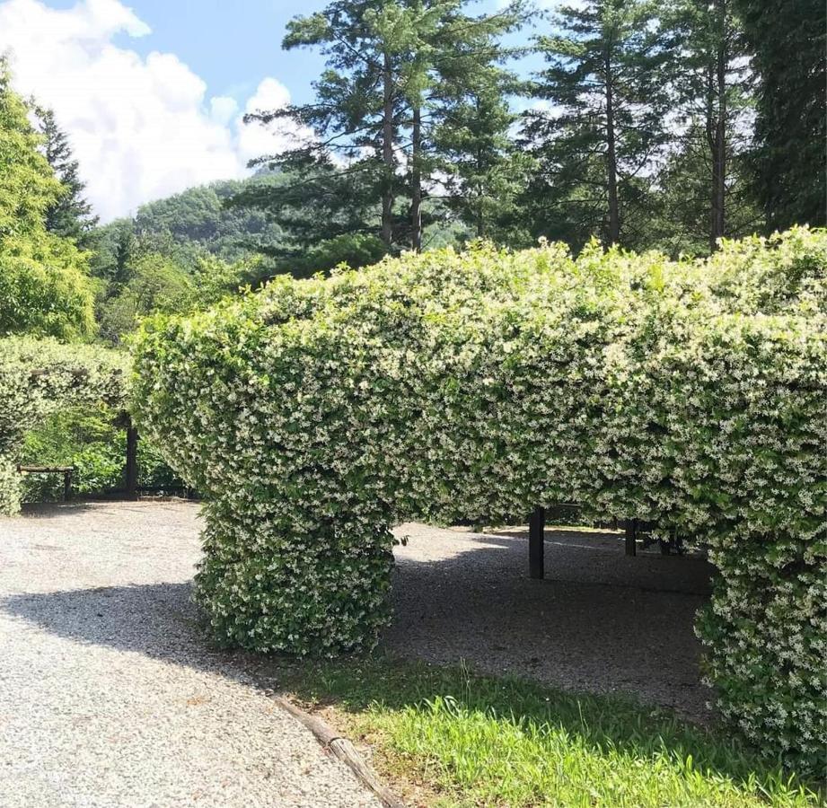 Il Bosco Di Campo Marzano Studios Borzonasca Εξωτερικό φωτογραφία