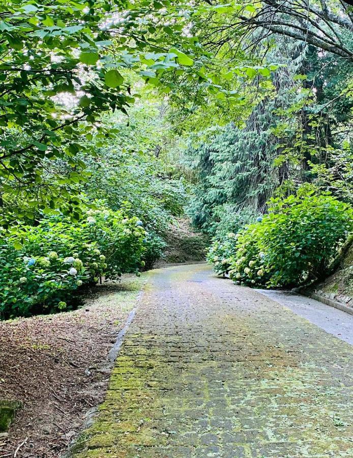 Il Bosco Di Campo Marzano Studios Borzonasca Εξωτερικό φωτογραφία