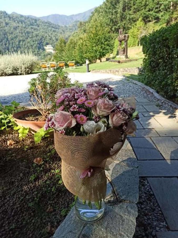 Il Bosco Di Campo Marzano Studios Borzonasca Εξωτερικό φωτογραφία