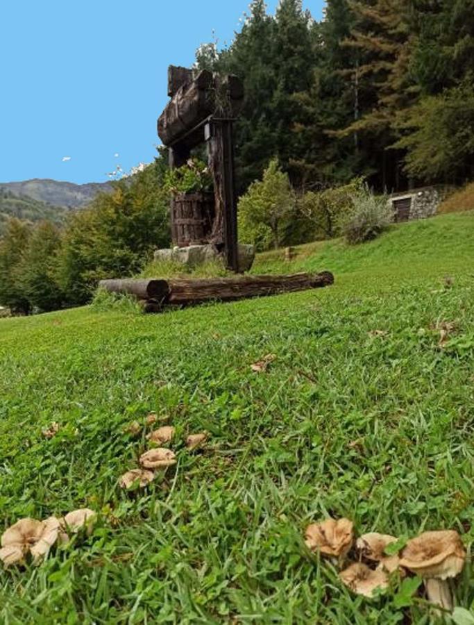 Il Bosco Di Campo Marzano Studios Borzonasca Εξωτερικό φωτογραφία