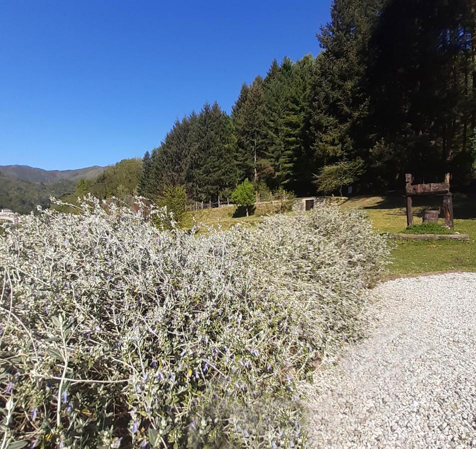 Il Bosco Di Campo Marzano Studios Borzonasca Εξωτερικό φωτογραφία