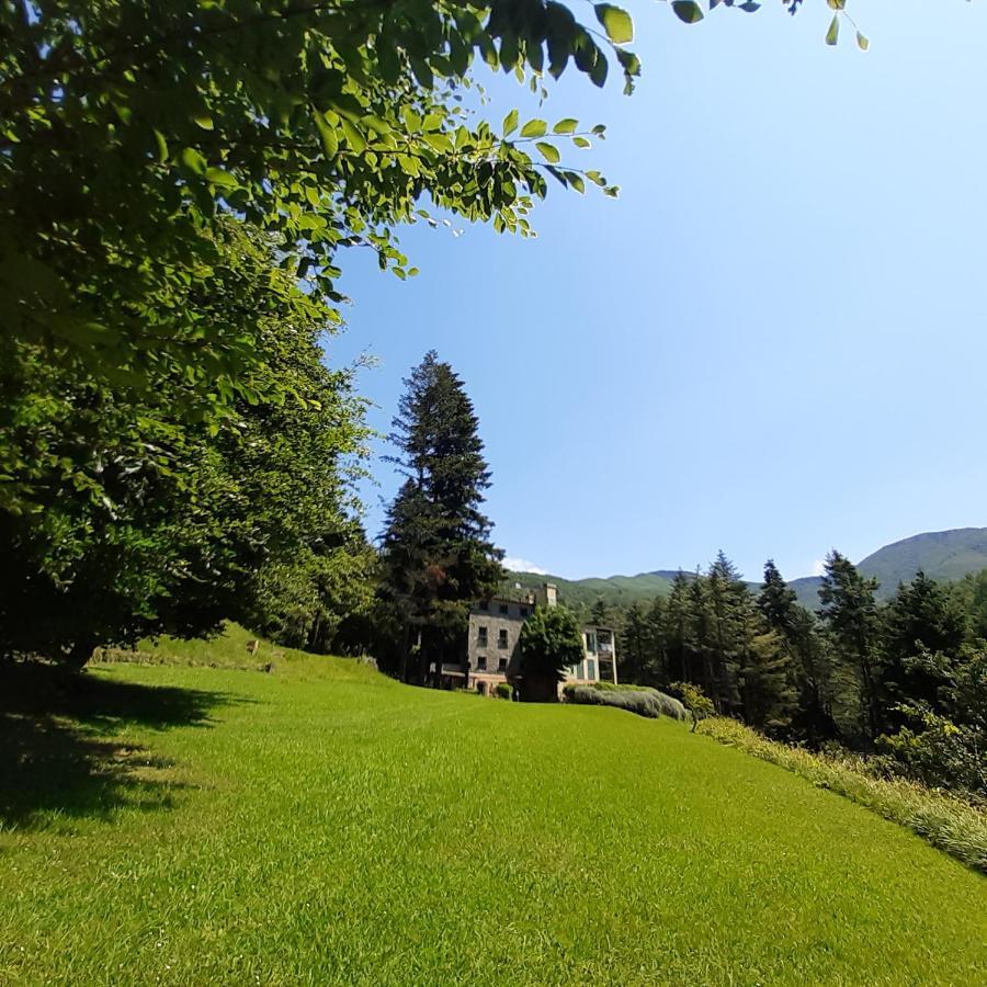 Il Bosco Di Campo Marzano Studios Borzonasca Εξωτερικό φωτογραφία