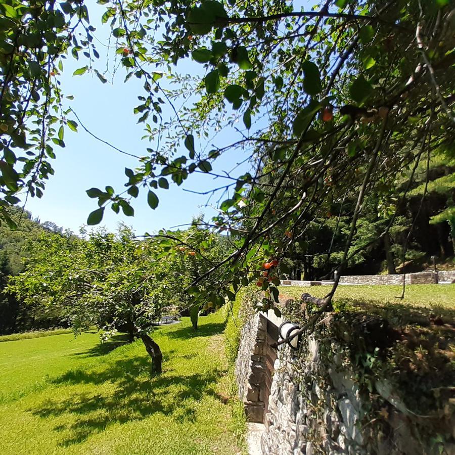 Il Bosco Di Campo Marzano Studios Borzonasca Εξωτερικό φωτογραφία